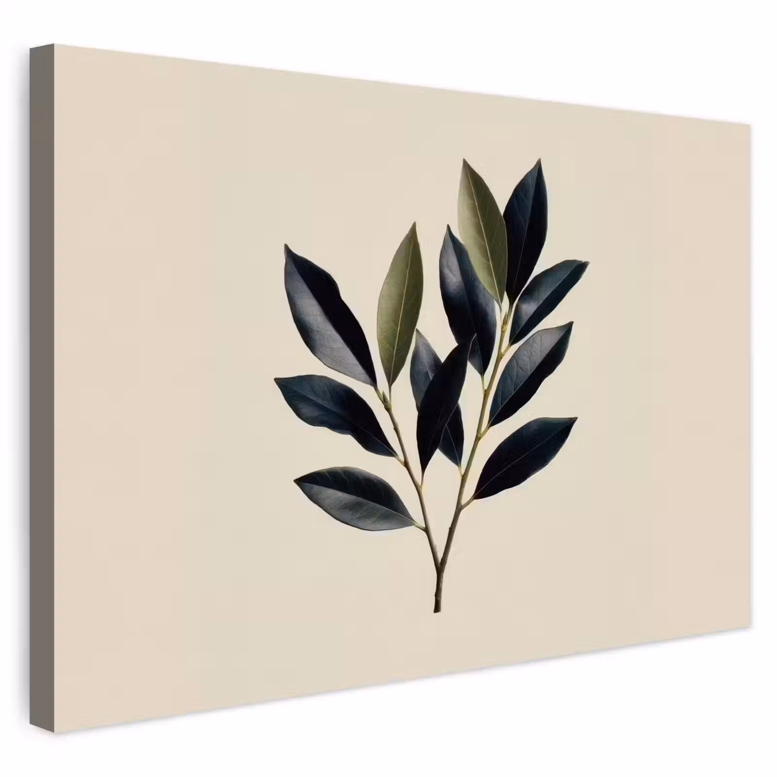 Buiten canvas - Ovaal - Olijfgroen - Simpel — 1