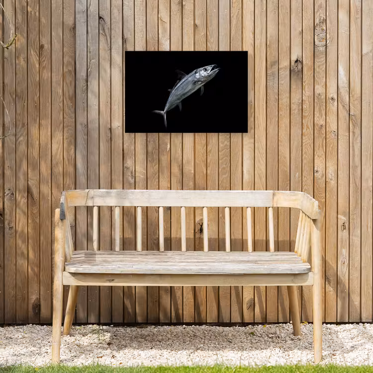 Buiten canvas - Makreel - Vis - Zwart — 3