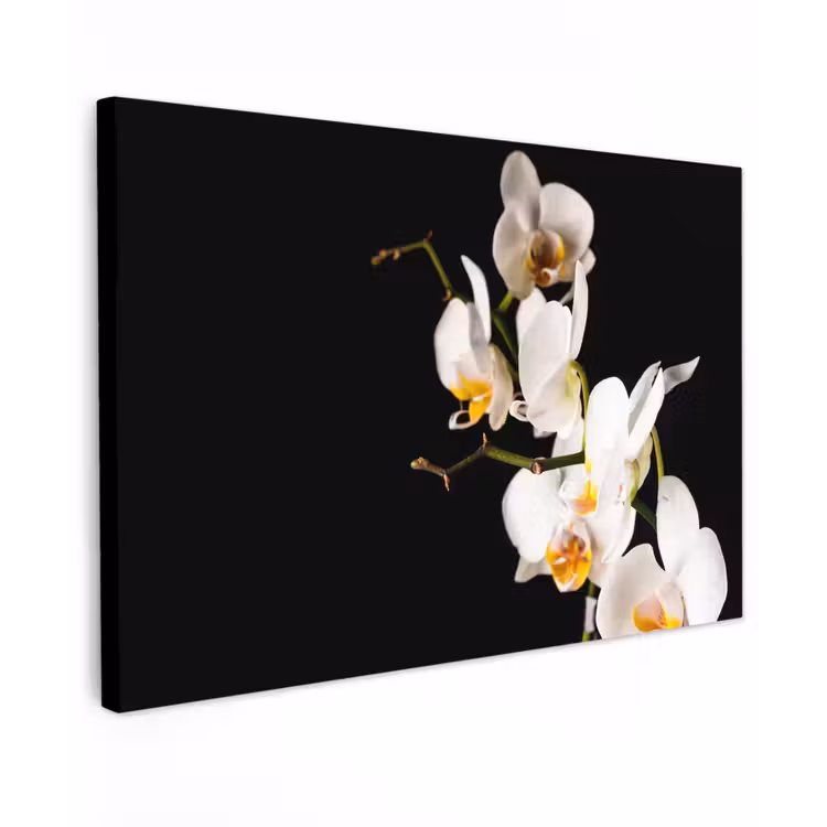 Buiten canvas - Orchidee - Bloemen - Planten - Botanisch — 1