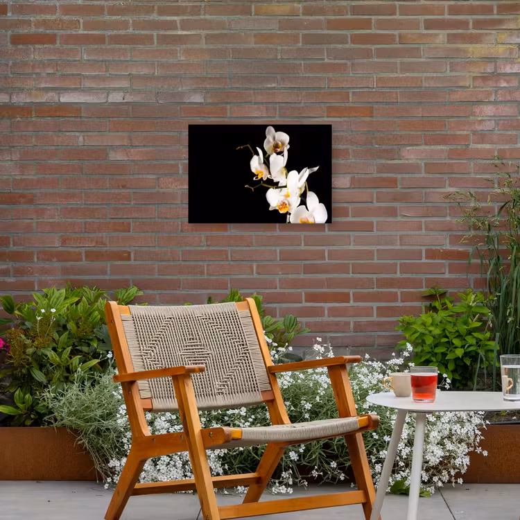 Buiten canvas - Orchidee - Bloemen - Planten - Botanisch — 2
