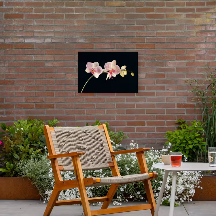 Buiten canvas - Orchidee - Bloemen - Zwart - Roze - Knoppen — 2