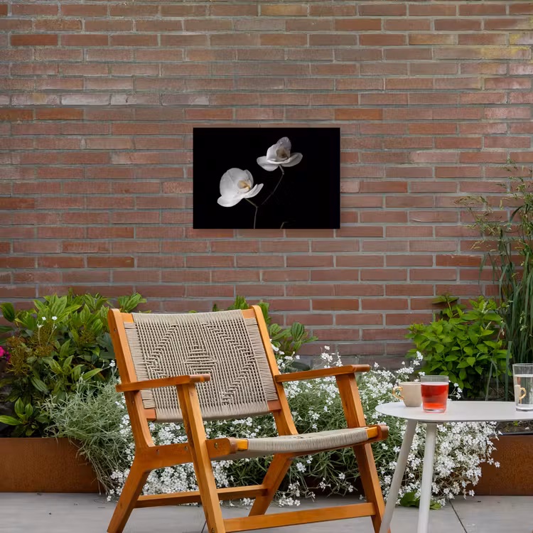 Buiten canvas - Orchidee - Bloemen - Zwart - Wit - Stilleven — 2