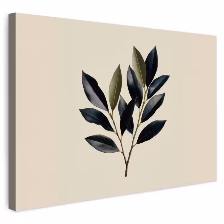 Buiten canvas - Ovaal - Olijfgroen - Simpel — 1