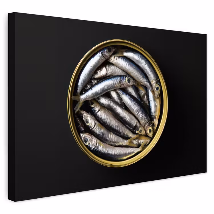 Buiten canvas - Sardines - Vissen - Rond - Zwart — 1