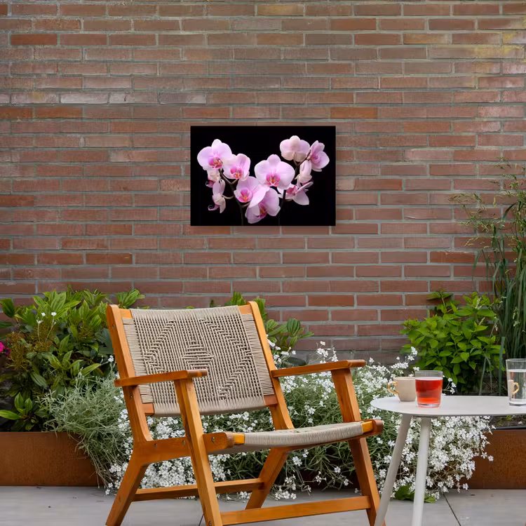 Buiten canvas - Orchidee - Bloemen - Roze - Flora — 2