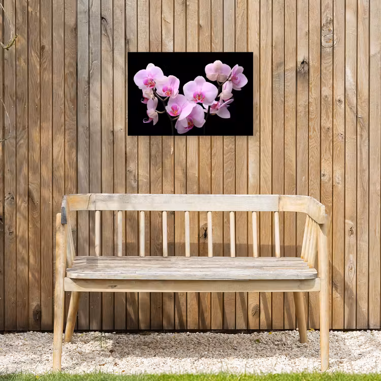 Buiten canvas - Orchidee - Bloemen - Roze - Flora — 3