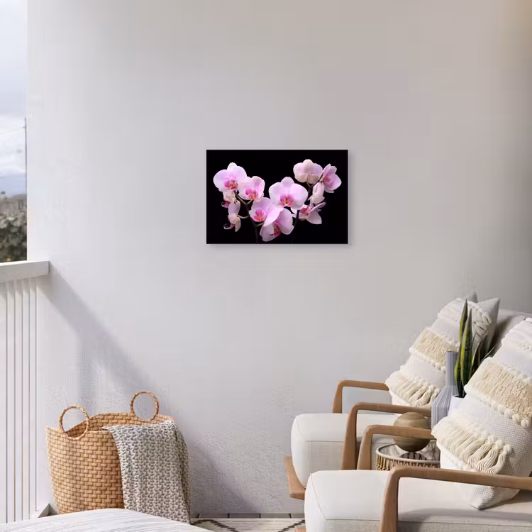Buiten canvas - Orchidee - Bloemen - Roze - Flora — 4