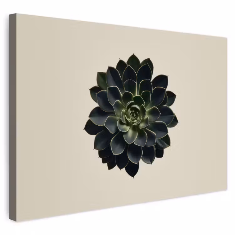 Buiten canvas - Rozet - Cirkelvormig - Donkergroen — 1