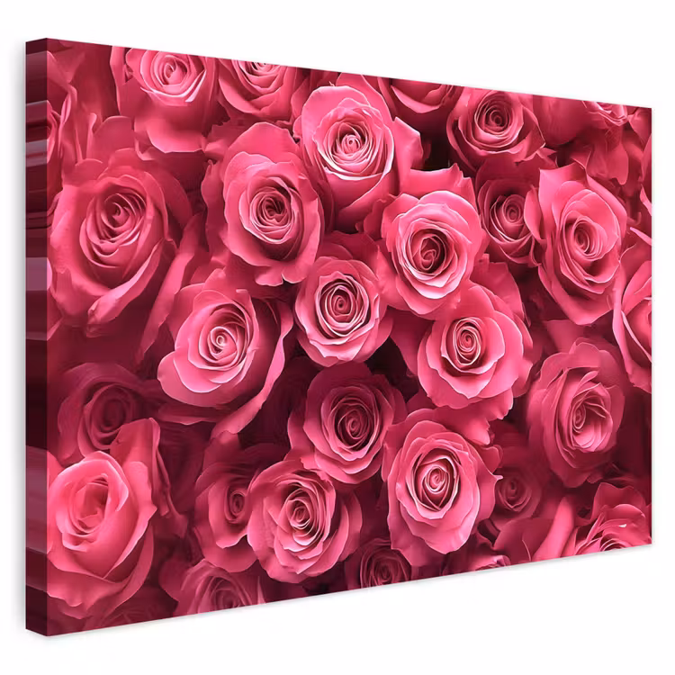 Buiten canvas - Rozen - Pink - Bloem — 1