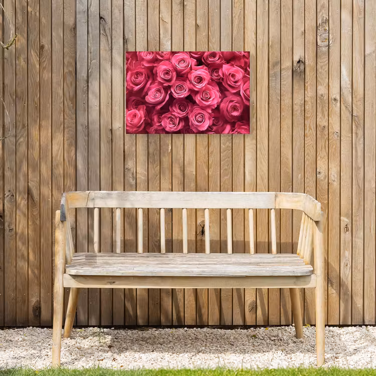 Buiten canvas - Rozen - Pink - Bloem — 3