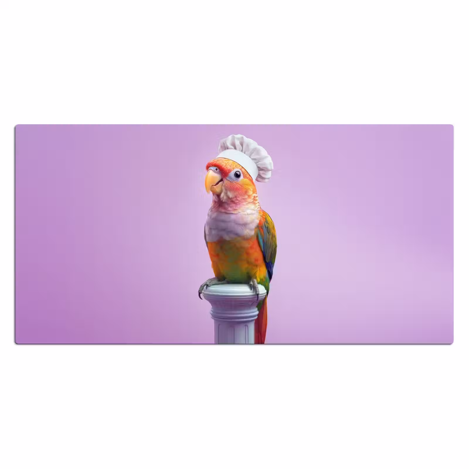 Bureau onderlegger - Papegaai - Koksmuts - Pilaar - Vogel — 1