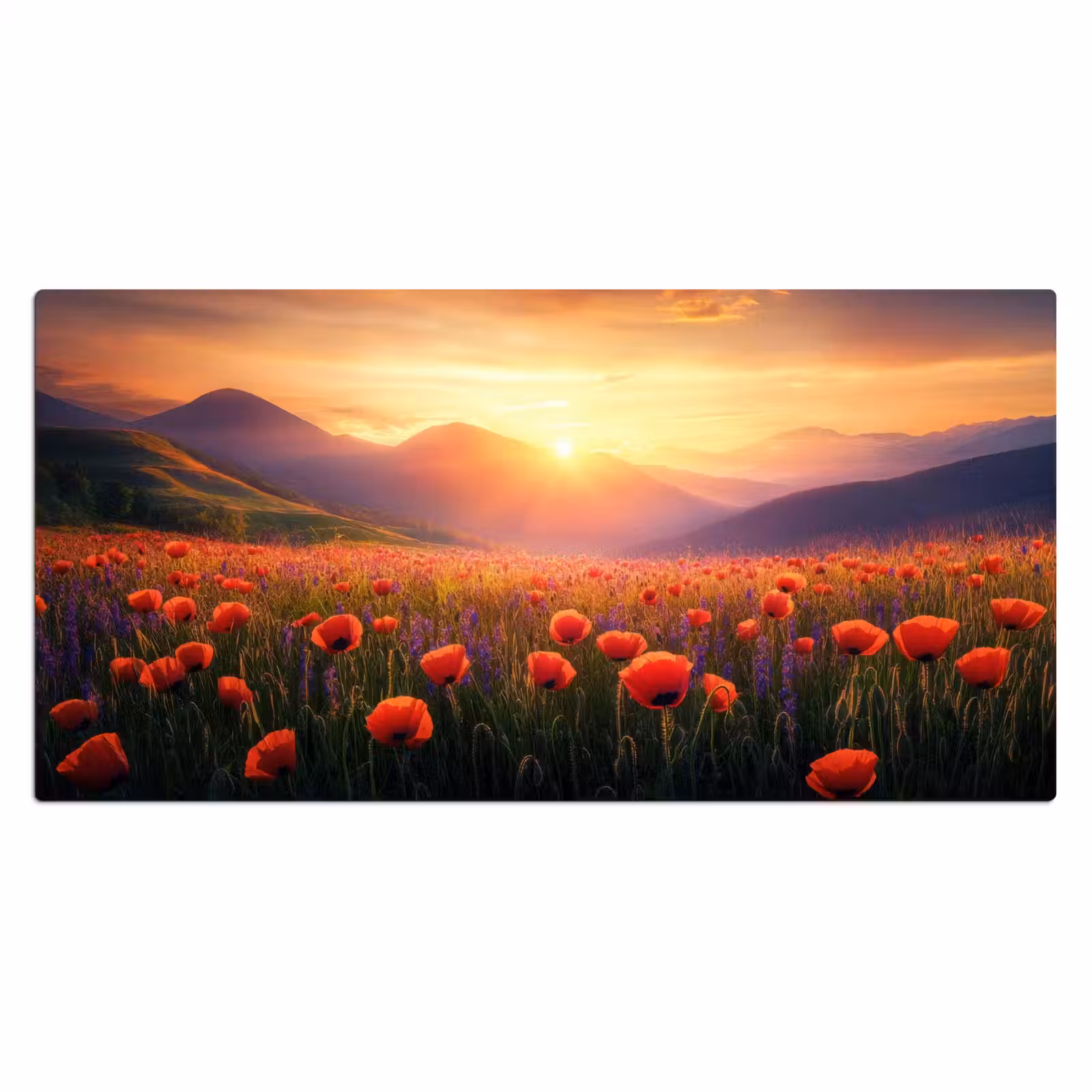 Bureau onderlegger - Landschap - Zonsondergang - Bloemenveld — 1