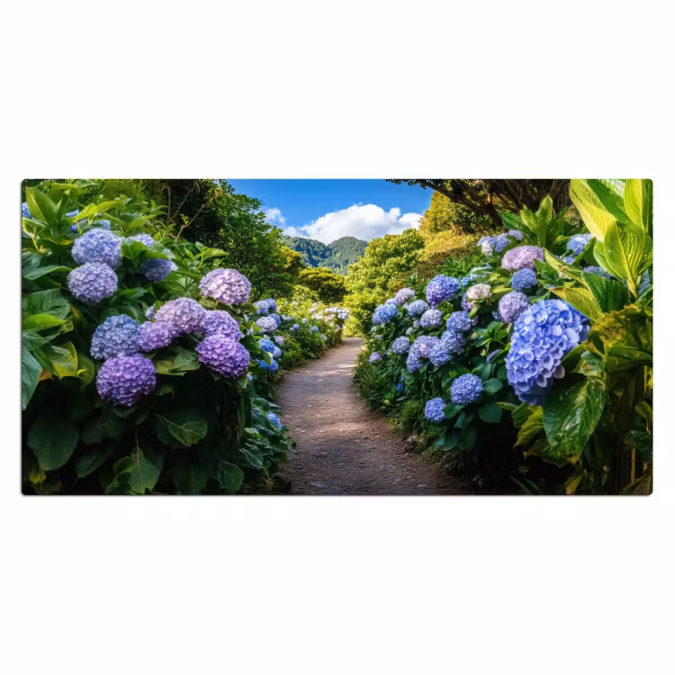 Bureau onderlegger - Hortsensia - Pad - Bloemen — 1