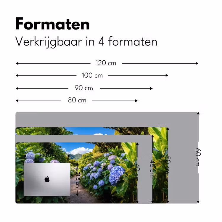 Bureau onderlegger - Hortsensia - Pad - Bloemen — 7