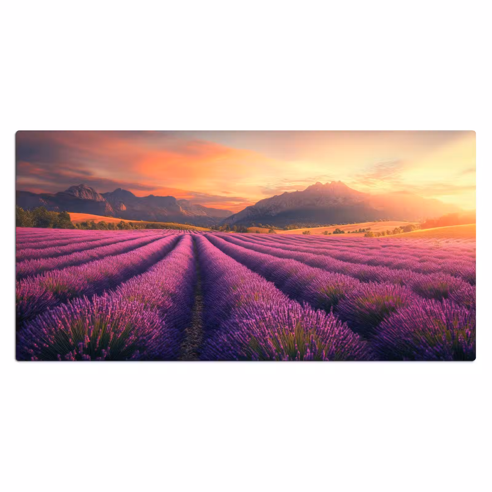 Bureau onderlegger - Lavendelveld - Zonsondergang - Paars — 1