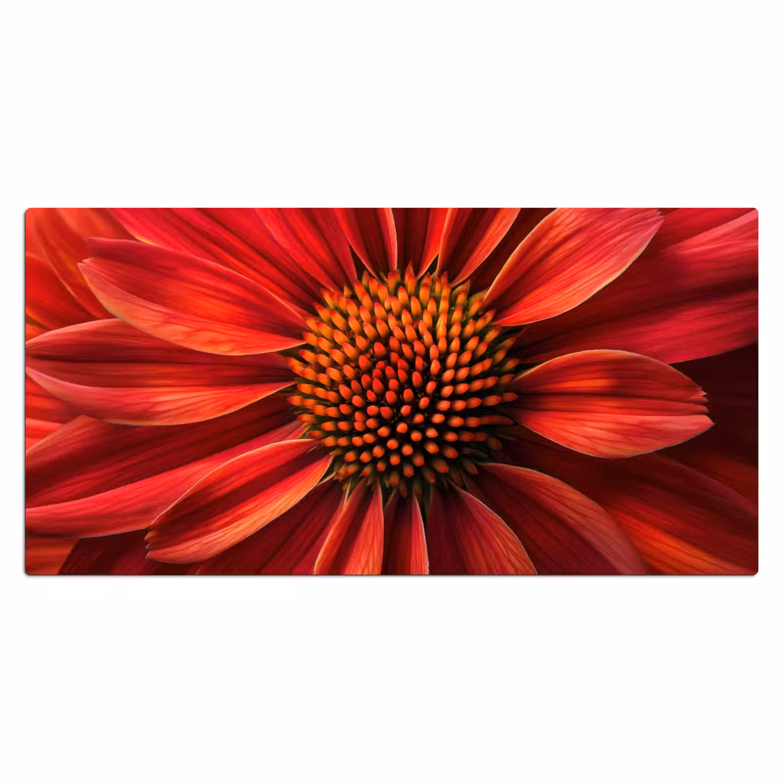 Bureau onderlegger - Close up - Bloem- Rood — 1