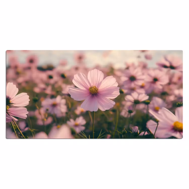 Bureau onderlegger - Bloemen - Paars - Wazig — 1