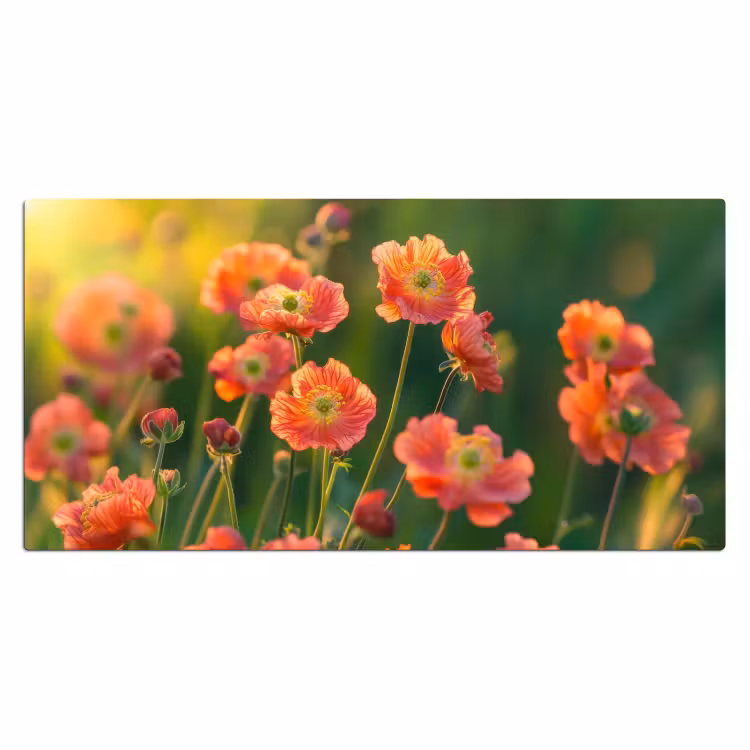 Bureau onderlegger - Bloemenveld - Zonnestralen - Oranje — 1