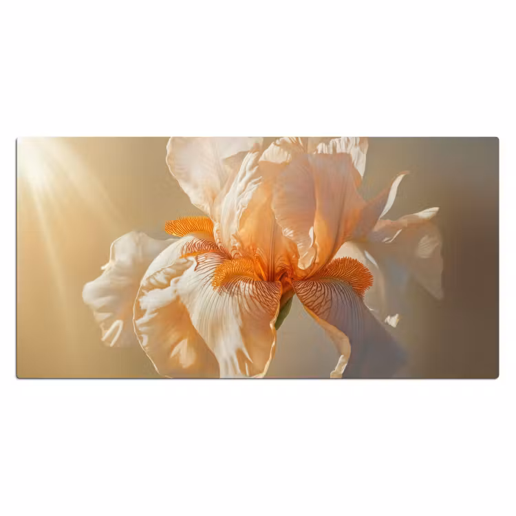 Bureau onderlegger - Close up - Oranje - Iris — 1