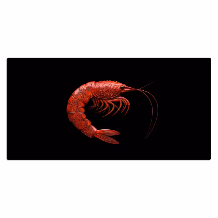 Bureau onderlegger - Garnaal - Rood - Dieren — 1
