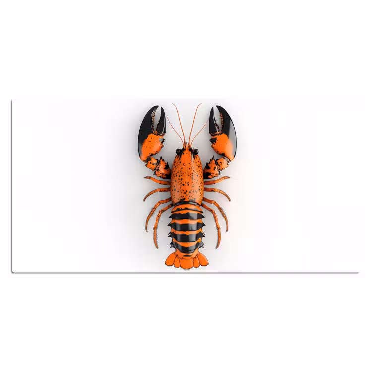 Bureau onderlegger - Kreeft - Zwart - Oranje - Wit - Uniek — 1