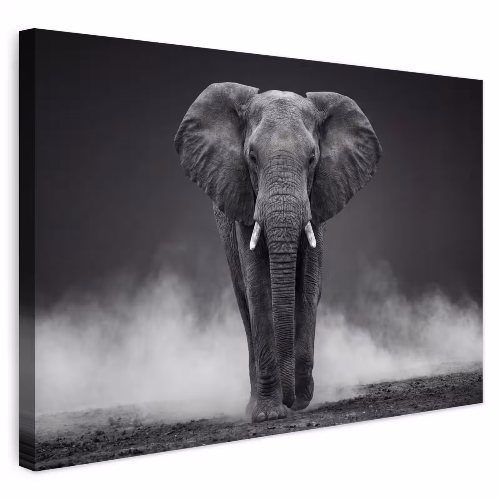 Buiten canvas - Olifant - Zwart - Wit - Rook — 1