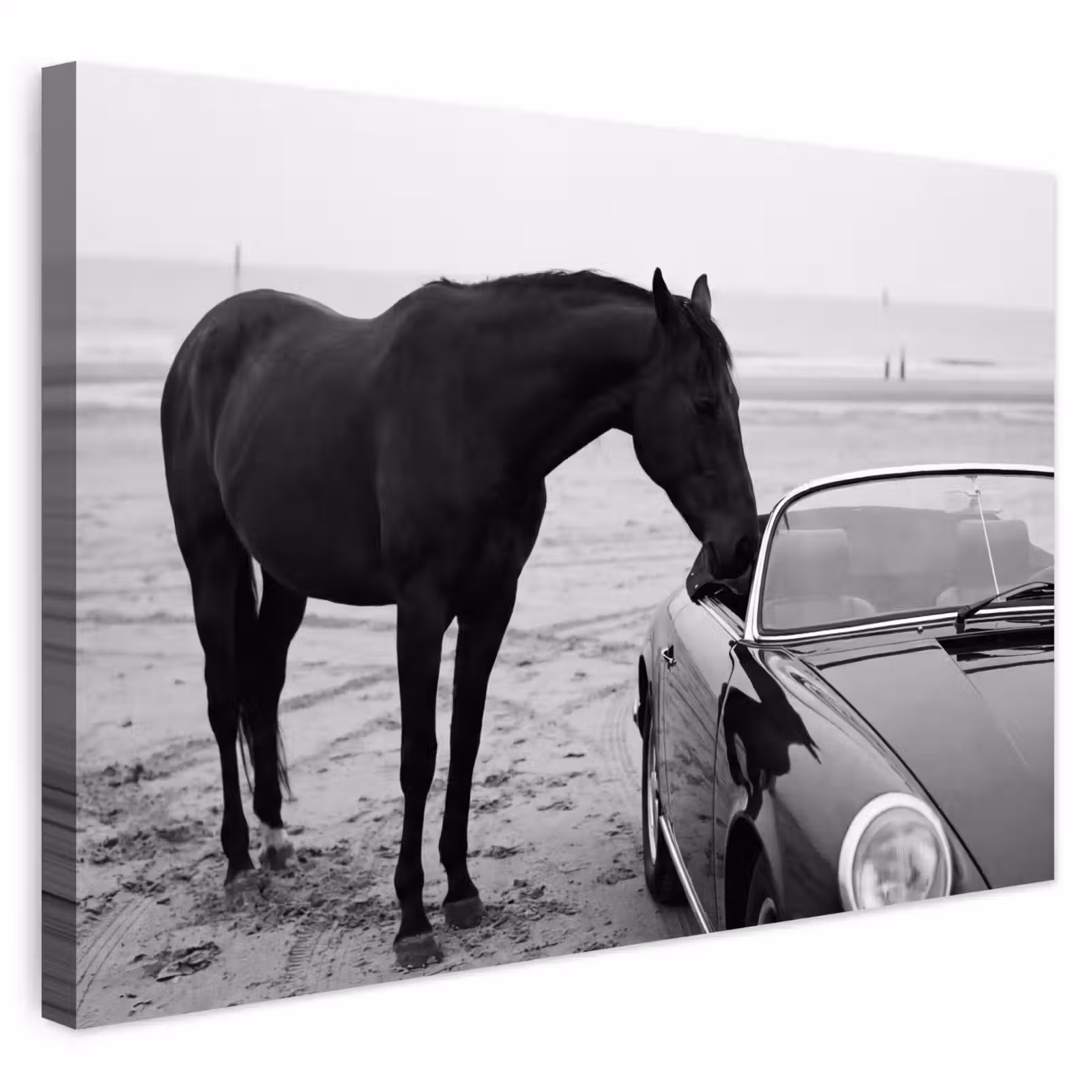 Buiten canvas - Paard - Auto - Zwart - Wit — 1