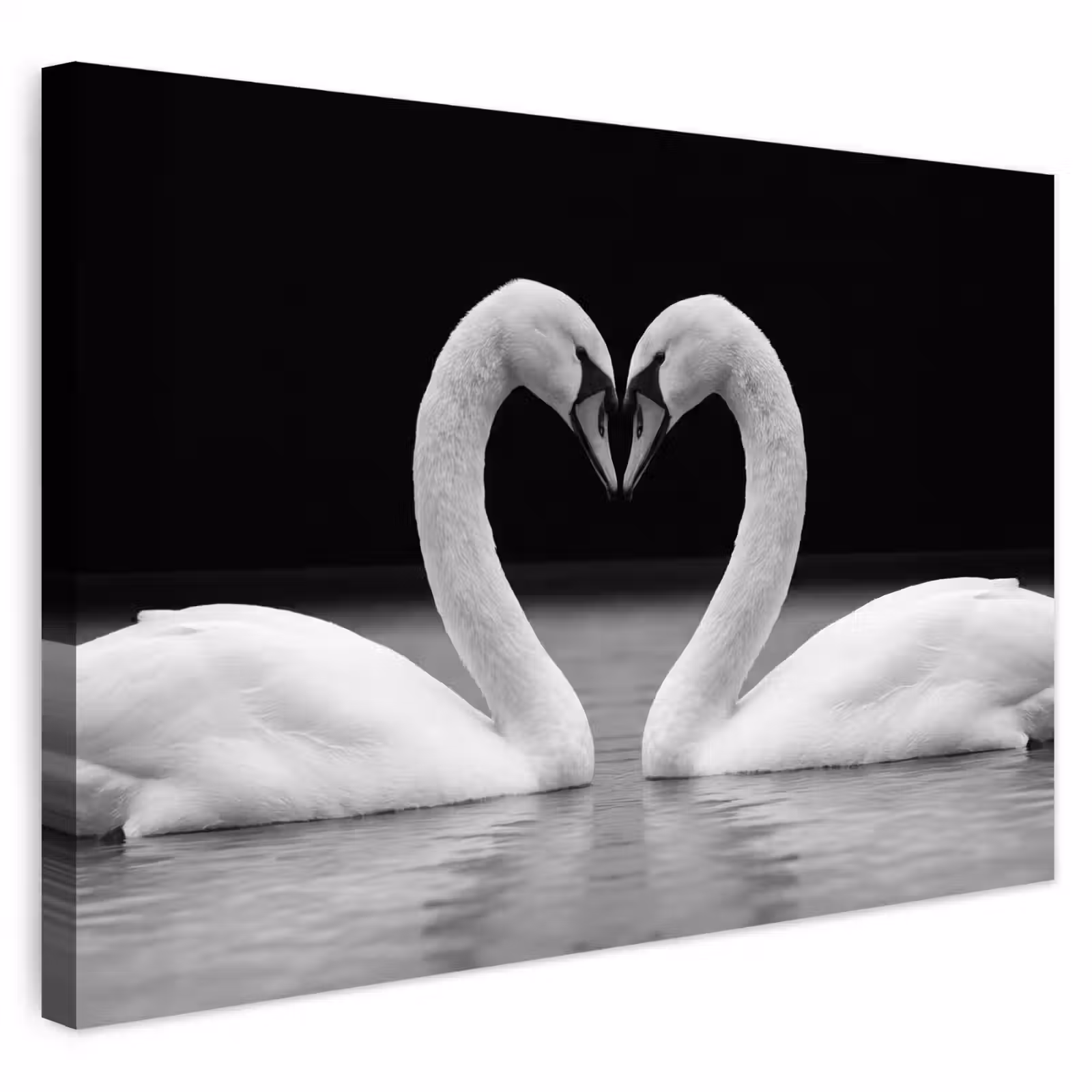 Buiten canvas - Zwanen - Hart - Zwart - Wit — 1