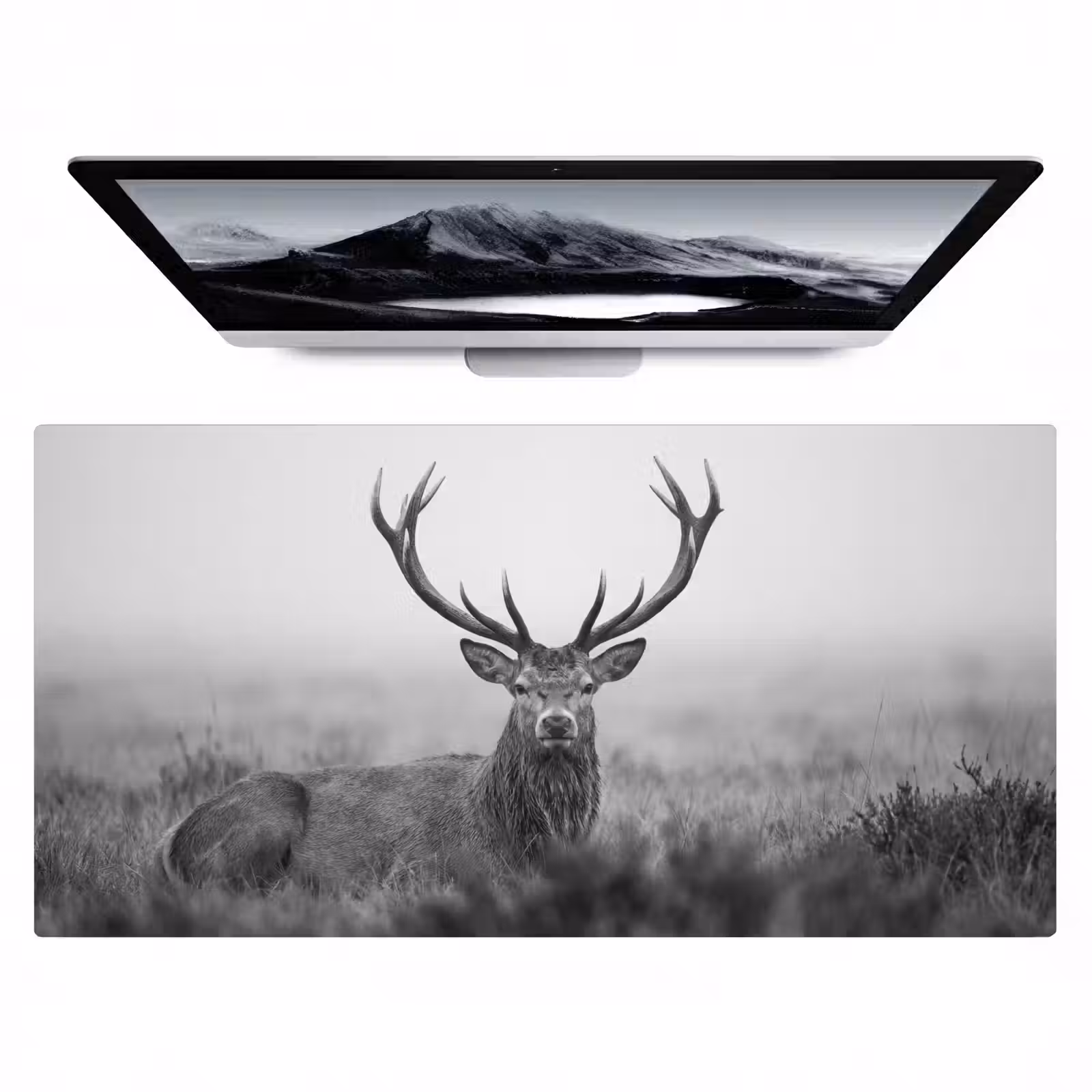 Bureau onderlegger - Hert - Mistig - Zwart - Wit — 1