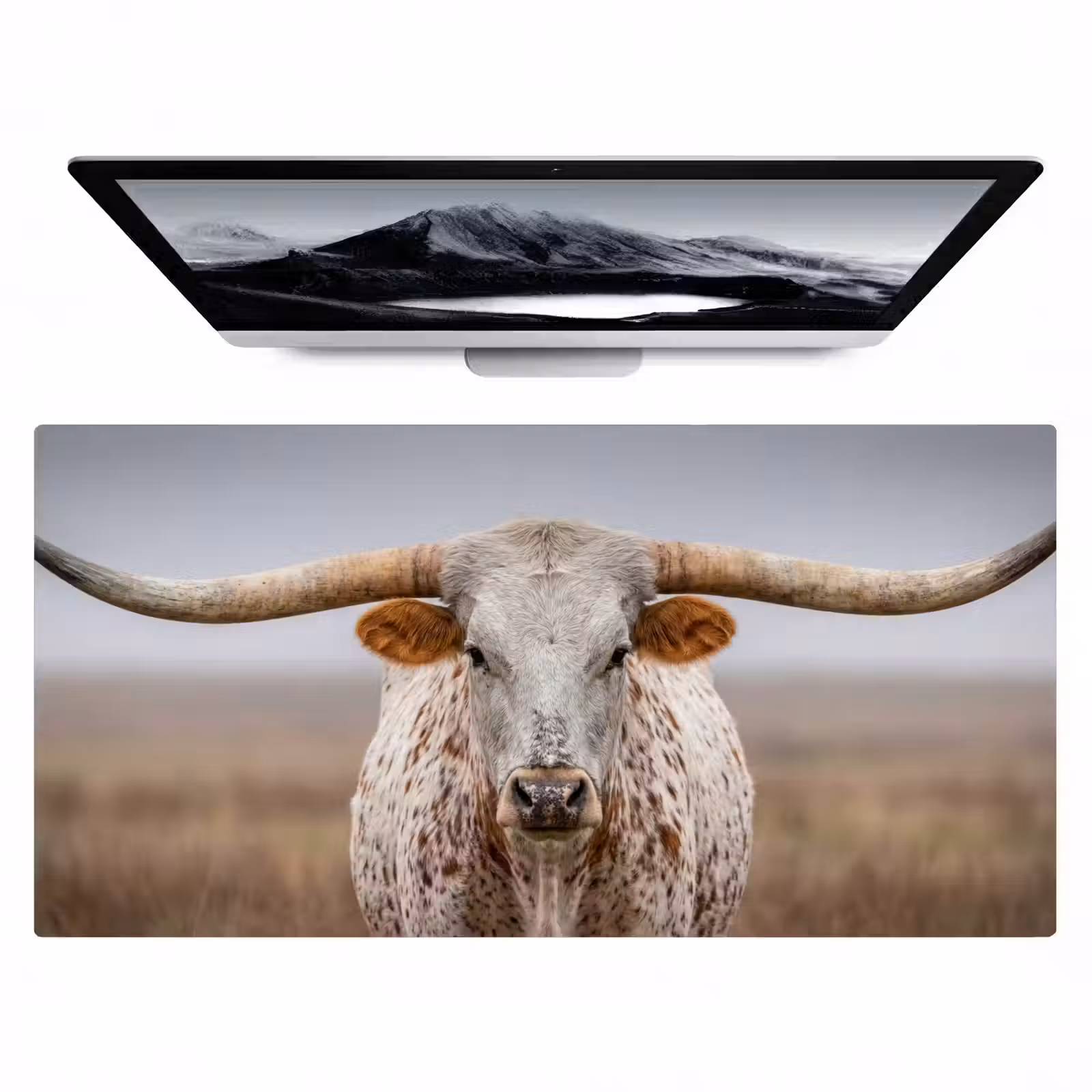 Bureau onderlegger - Longhorn - Grasveld - Dier — 1