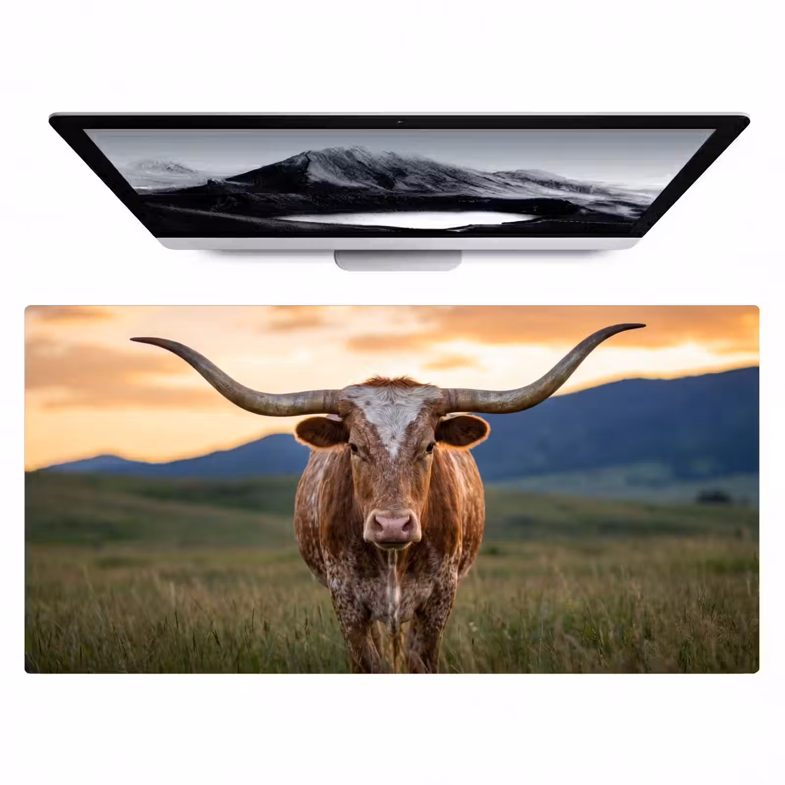 Bureau onderlegger - Longhorn - Landschap - Zonsondergang — 1