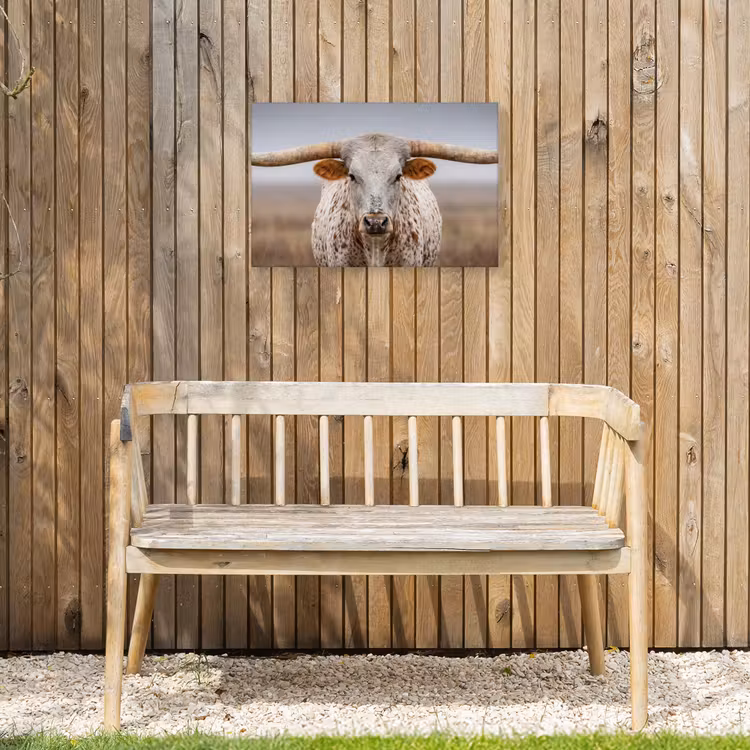 Buiten canvas - Longhorn - Grasveld - Dier — 3