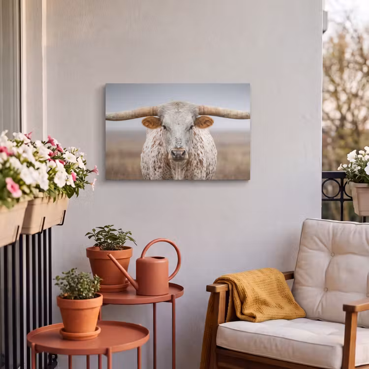 Buiten canvas - Longhorn - Grasveld - Dier — 4