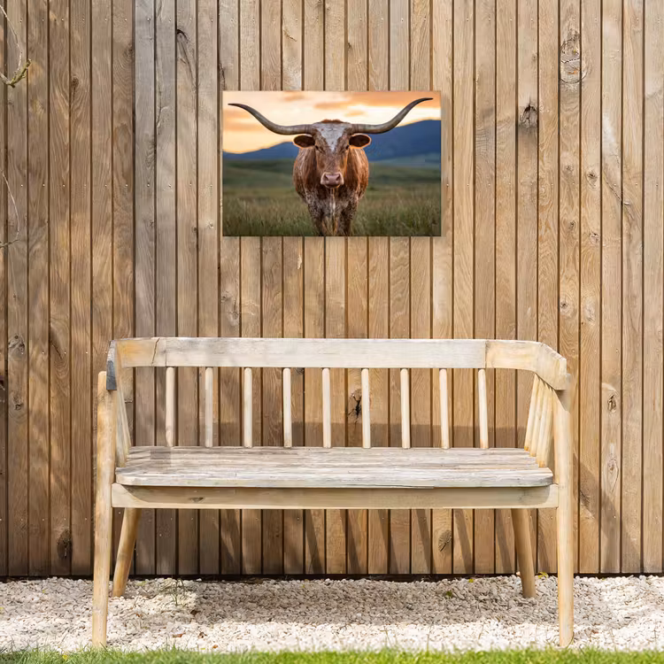 Buiten canvas - Longhorn - Landschap - Zonsondergang — 3