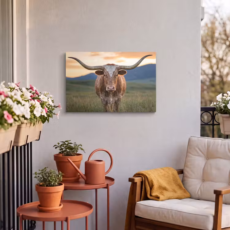Buiten canvas - Longhorn - Landschap - Zonsondergang — 4