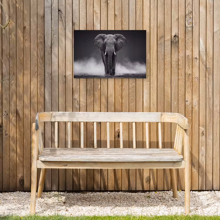 Buiten canvas - Olifant - Zwart - Wit - Rook — 3