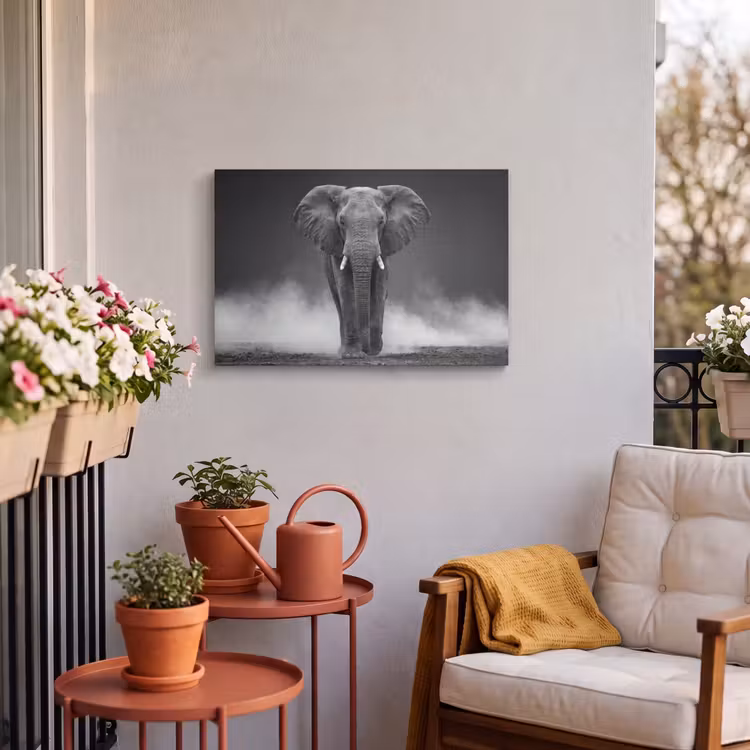 Buiten canvas - Olifant - Zwart - Wit - Rook — 4