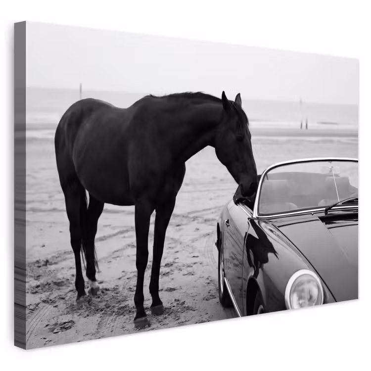 Buiten canvas - Paard - Auto - Zwart - Wit — 1