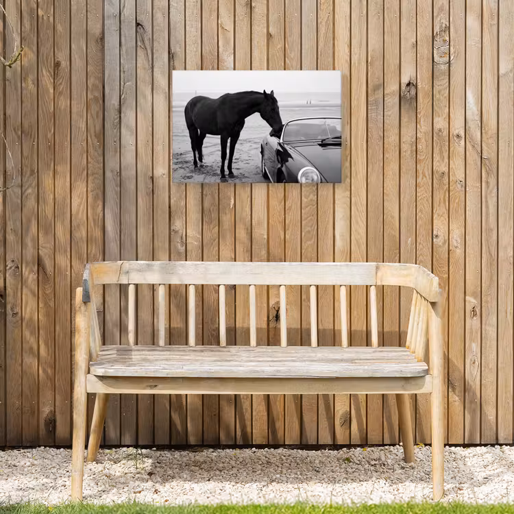 Buiten canvas - Paard - Auto - Zwart - Wit — 3