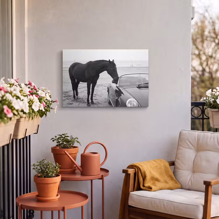 Buiten canvas - Paard - Auto - Zwart - Wit — 4