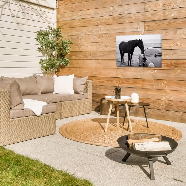 Buiten canvas - Paard - Auto - Zwart - Wit — 5