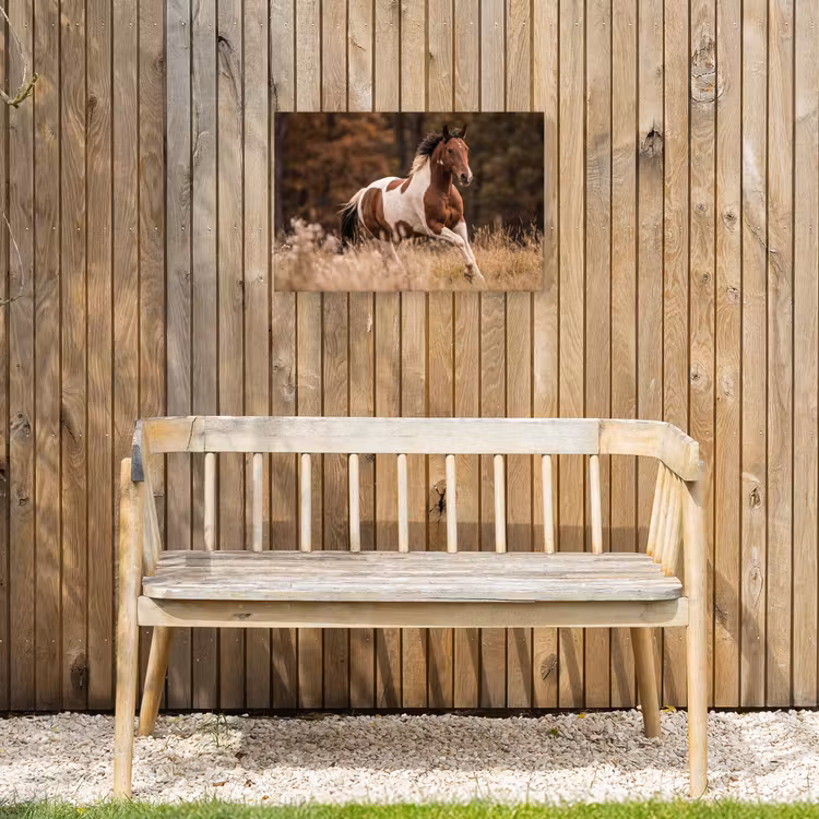 Buiten canvas - Paard - Bruin - Gras — 3