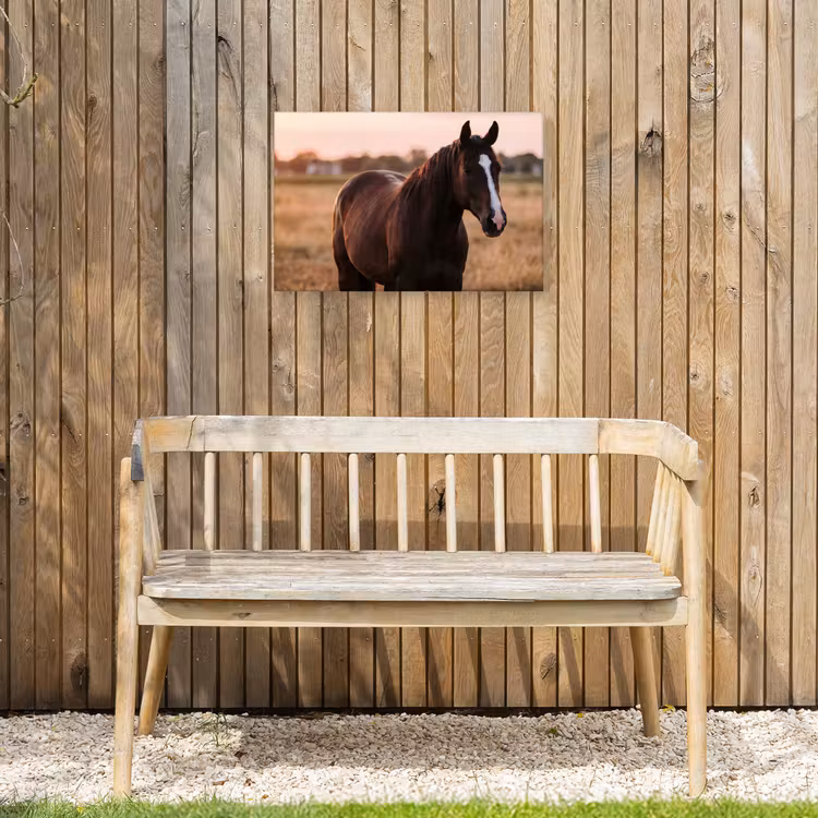 Buiten canvas - Paard - Zonsondergang - Bruin — 3