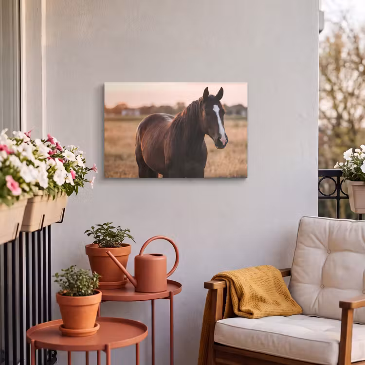 Buiten canvas - Paard - Zonsondergang - Bruin — 4