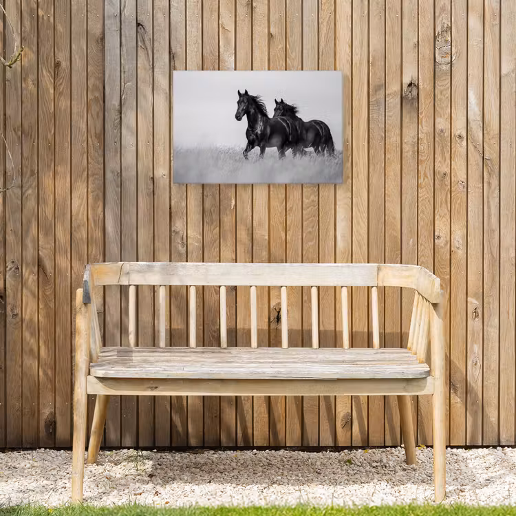 Buiten canvas - Paarden - Gras - Zwart - Wit — 3