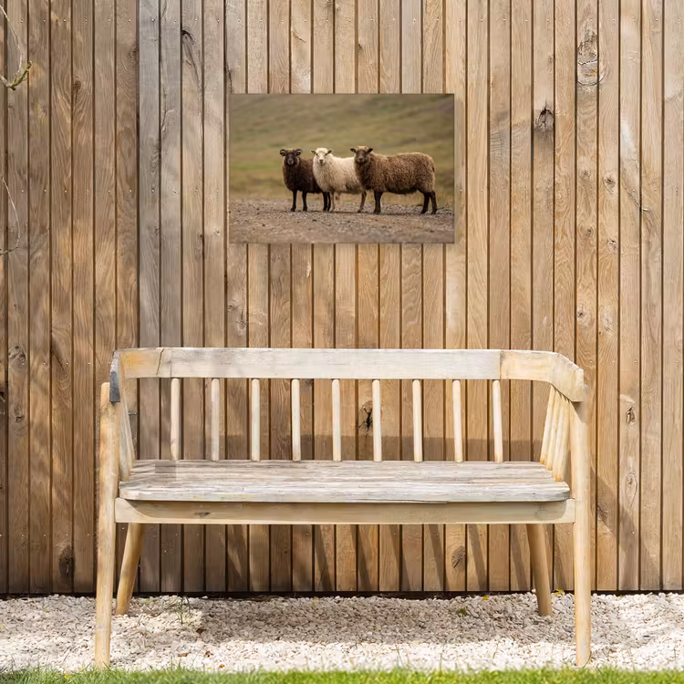 Buiten canvas - Schapen - Bruin - Wit - Grindpad — 3