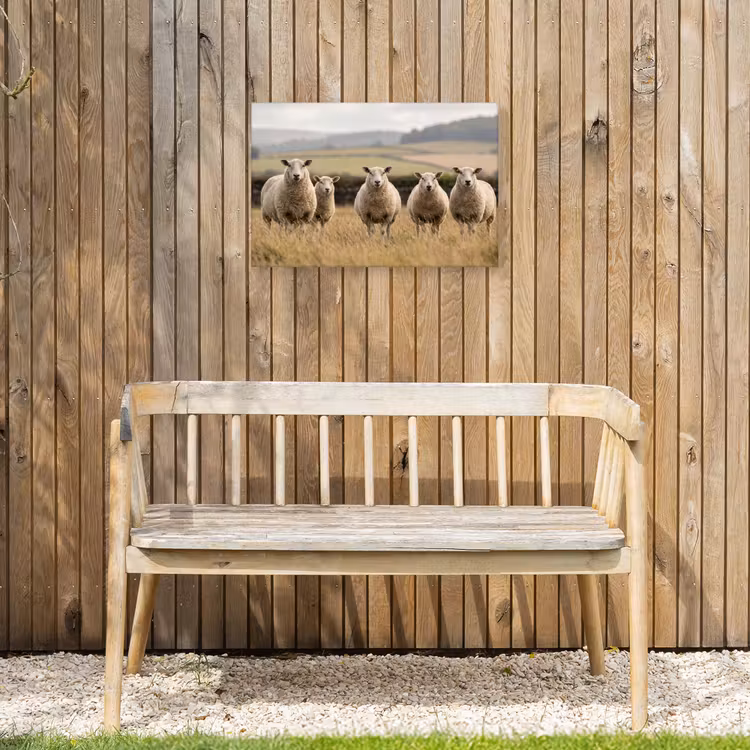 Buiten canvas - Schapen - Weidenlandschap - Heuvels — 3