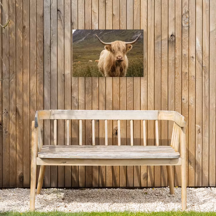 Buiten canvas - Schotse hooglander - Bergen - Grasveld — 3