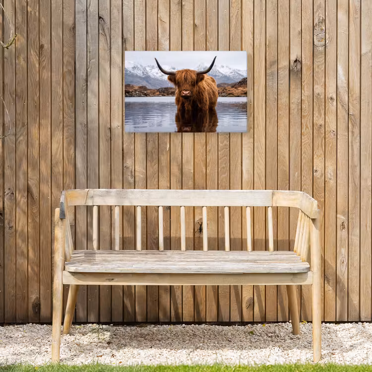 Buiten canvas - Schotse hooglander - Bruin - Water — 3
