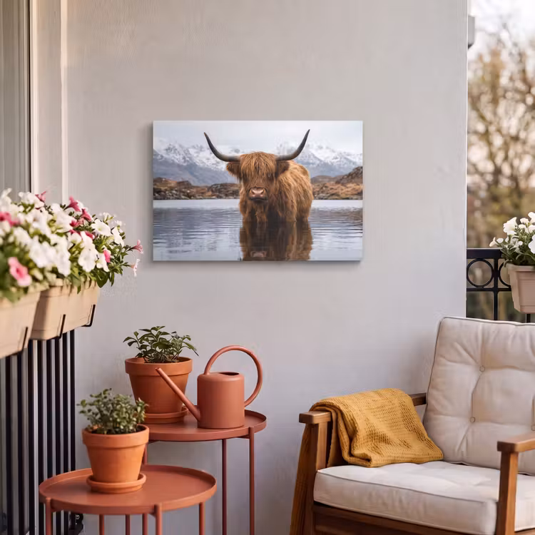 Buiten canvas - Schotse hooglander - Bruin - Water — 4